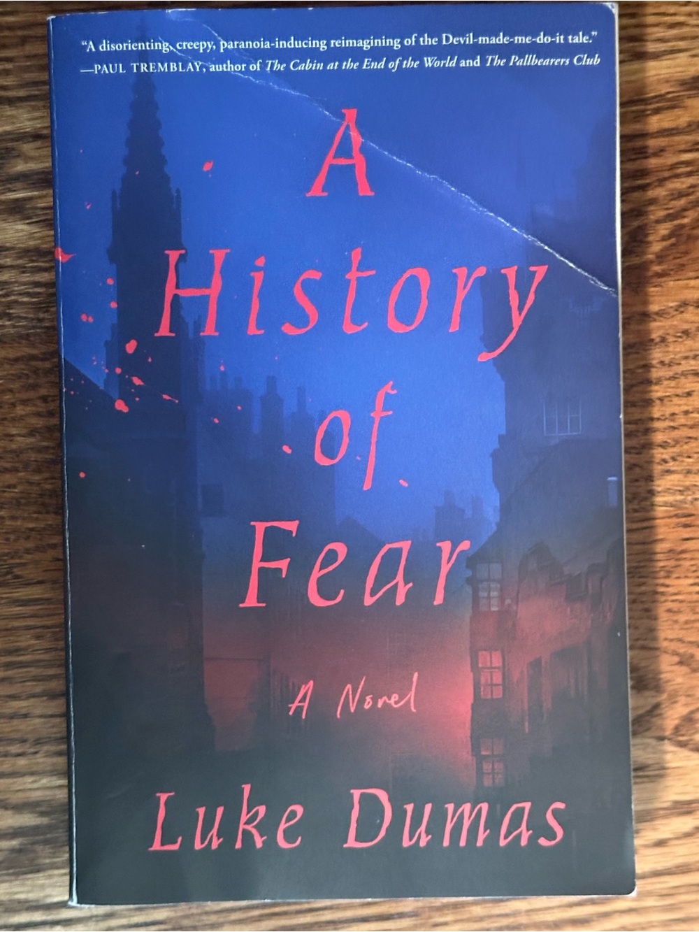 A History of Fear Luke Dumas large paperback book